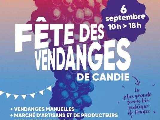 Tout public - Fête des vendanges - Stand