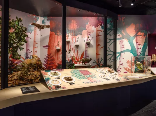 Visite adaptée de l'espace Biodiversité