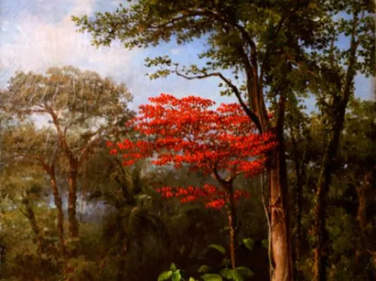 Forêt verte et chambre noire © Jean-Louis Coquerel