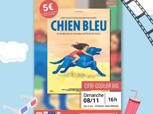 Ciné-goûter bio - Chien bleu