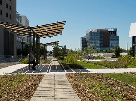 Visite du parc de la piste des géants