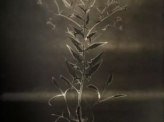 Table ronde © © S.Zénon_Roquette