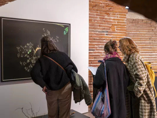 Visite de l'exposition © © Léo Itarte, Mairie de Toulouse