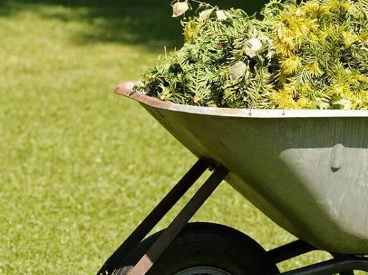 Collecte gratuite de déchets végétaux dans une benne statique