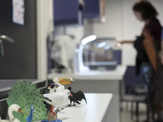 Visite adaptée de la Réserve pédagogique © Muséum de Toulouse