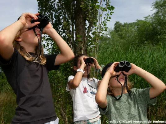 Zone humide et biodiversité printanière
