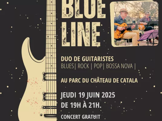 Live concert