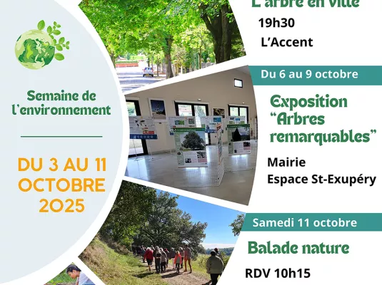 Semaine de l'environnement : "L'arbre en ville"