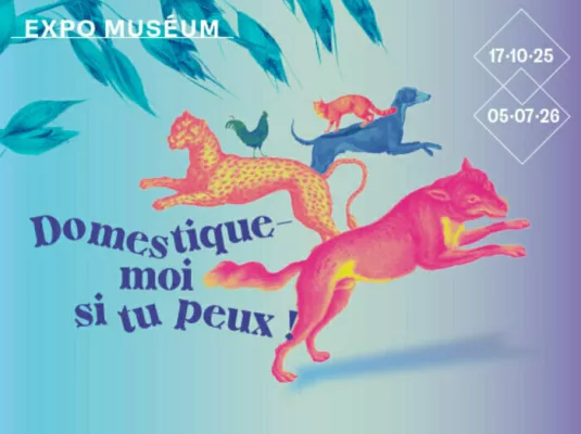 Visite guidée de l'exposition "Domestique-moi si tu peux"