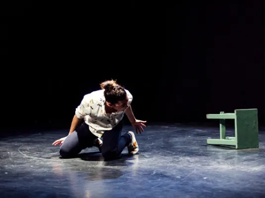G.R.A.I.N. Histoire de Fous © Nathalie Granger-Pacaud