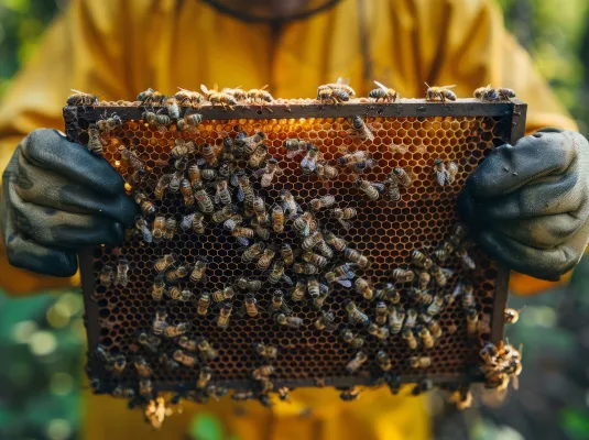 Découverte de l’apiculture à Bouconne © Magnific