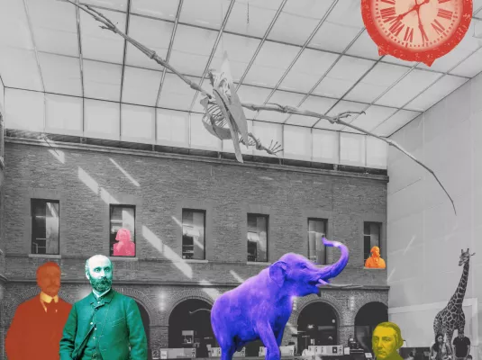 Exploration étonnante : les secrets du Muséum révélés