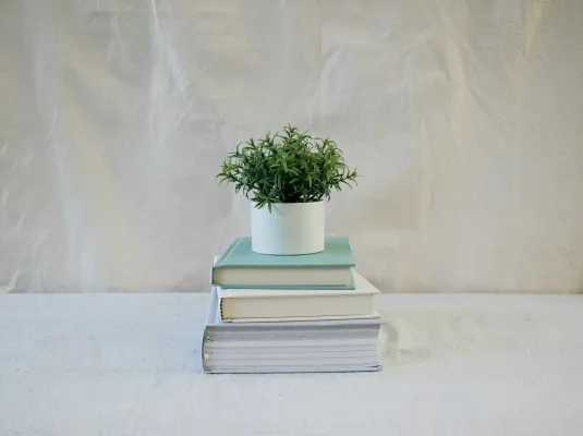 Photographie : Un livre, une plante