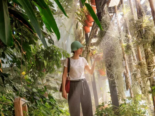 Plantes gourmandes : visite jeune public du Jardin Botanique du Muséum