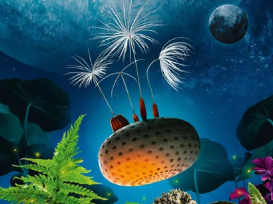 Projection Planètes