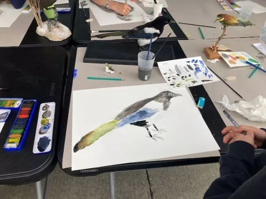 Atelier de dessin naturaliste au Muséum de Toulouse © Muséum de Toulouse