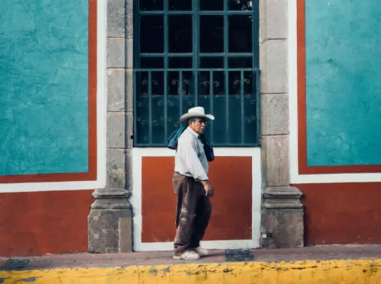 Le Mexique aujourd'hui, "Politique et société"