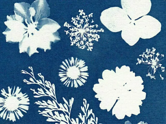 Cyanotype: du numérique à l’analogique