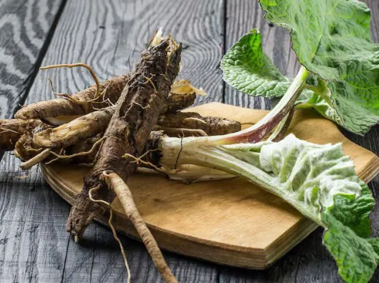 Atelier gourmand : du minéral au végétal, de la terre à l'assiette