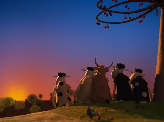 Projection de courts métrages le week-end au Muséum