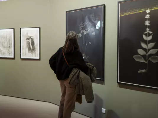 Visite guidée en LSF