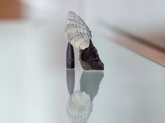 États de jeu © Victoire Barbot