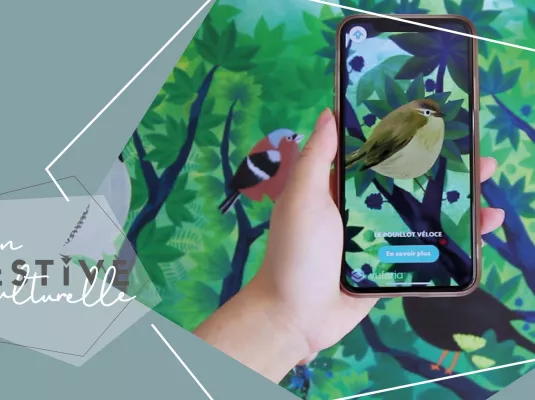 Atelier oiseaux et numérique - Mercredi 11 mars