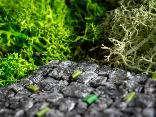 Exposition « Expression de Nature » - Du 5 au 30 janvier