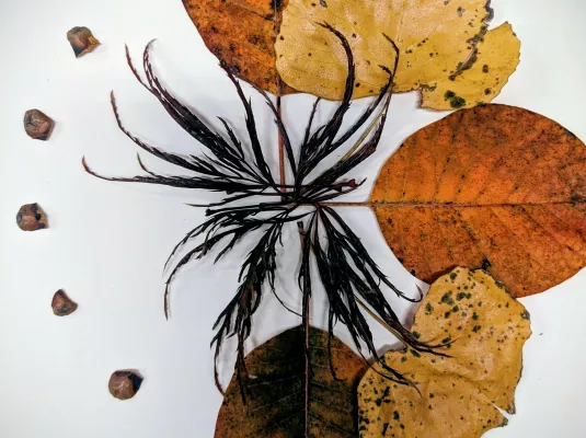 Atelier jeune public "Poètes de nature" © Caroline Chevalier-Galant