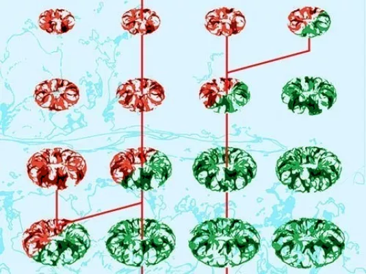 Vernissage High Volatility © Thomas Gasquet