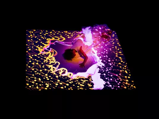 "FLUX", Compagnie Désuète © Compagnie Désuète