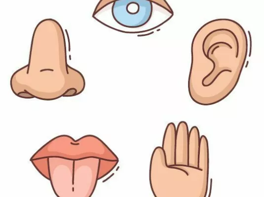 Atelier sensoriel pour tous