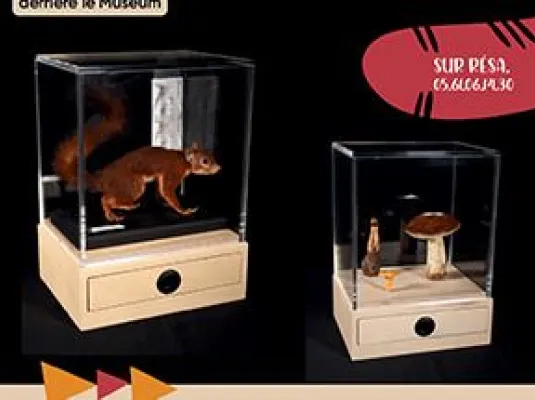 DANS LES COULISSES DU MUSÉUM
