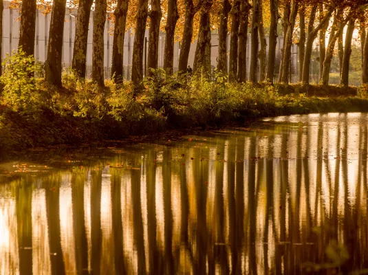 Perspectives au fil de l'eau : le Canal du Midi