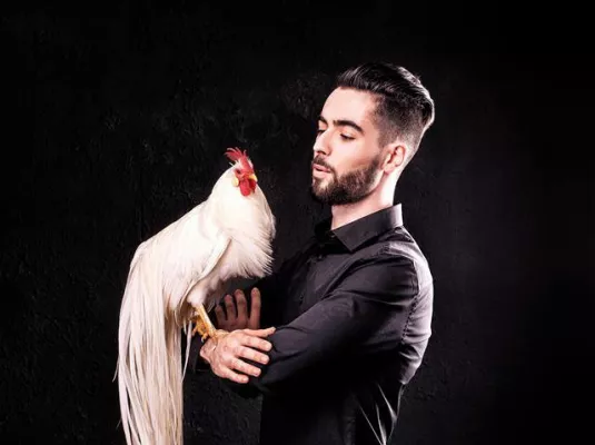 La basse-cour fait son show : vous saurez tout sur les poules