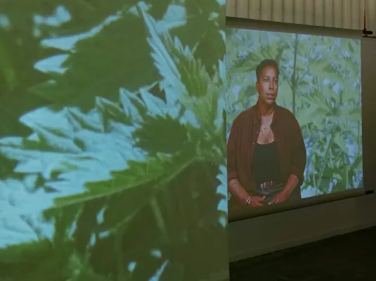 Beyond Pink & Green. Bonella Holloway © ©Bonella Holloway