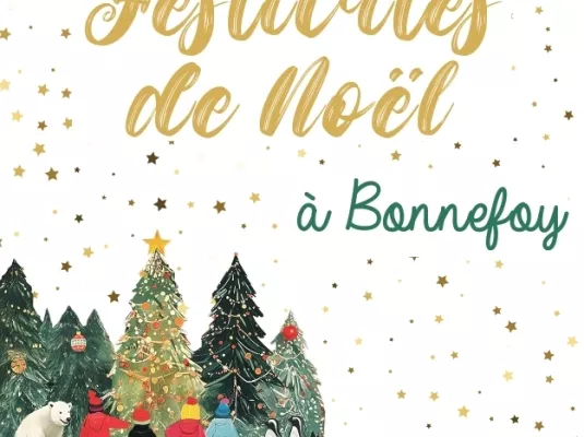 Le Noël au Faubourg Bonnefoy