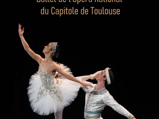 LES ÉTOILES DE LA DANSE