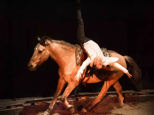 Cirque théâtre équestre : "Zusammen" - Du 28 novembre au 31 décembre