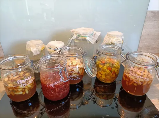 Fabrique des possibles : Fabrication d’un kôso (sirop fermenté) pour affronter l’hiver!