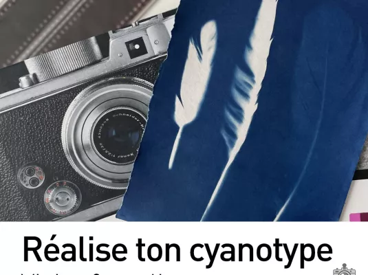 Réalise ton cyanotype