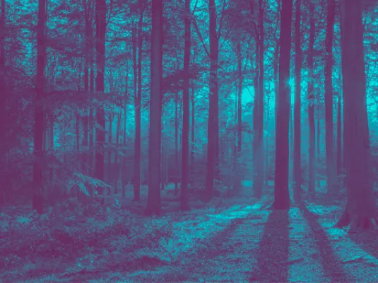 Sieste poétique pour petites oreilles éveillées © © Miel Pagès