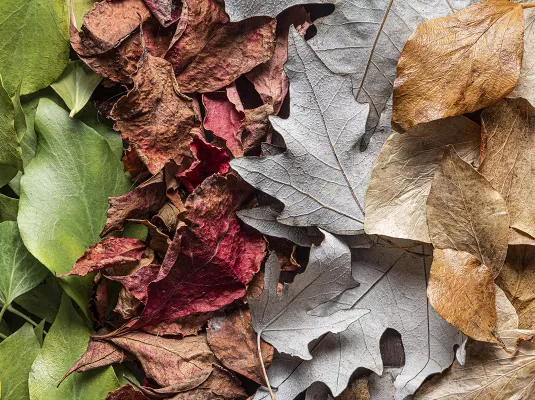 Opération de broyage de vos déchets végétaux - Samedi 15 novembre