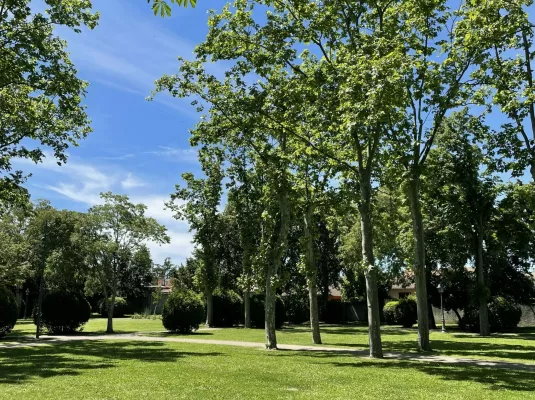 Rainbow island : l'événement du conservatoire