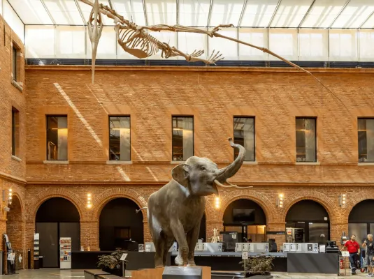 Journées Européennes du Patrimoine au Muséum de Toulouse