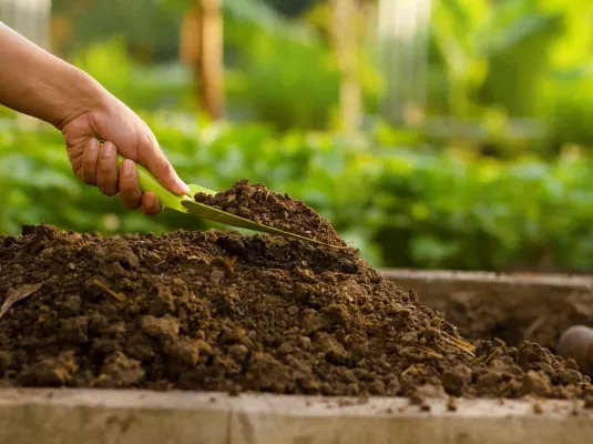 Atelier "Comprendre et enrichir sa terre sans rien faire"