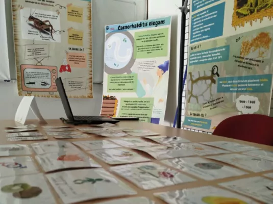 Ça Réfléchit, Ça Avance ?