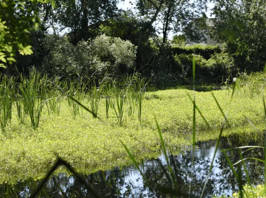 Fête de la Nature aux Jardins du Muséum à Borderouge