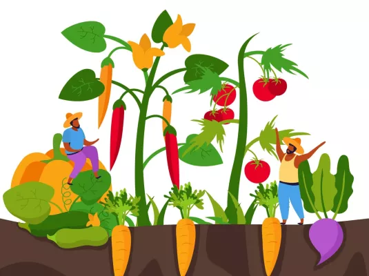 Atelier jardinage - Construction de jardinière en palettes