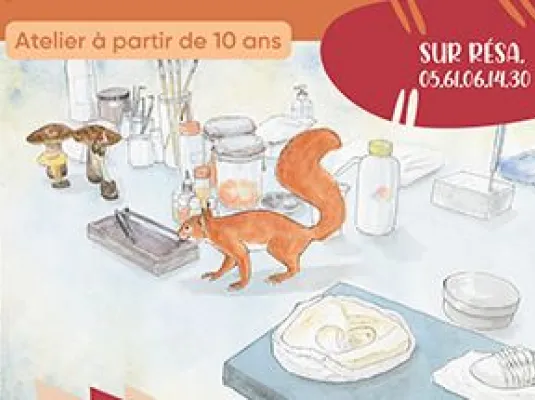 "ESQUIROL, LE PETIT ÉCUREUIL"